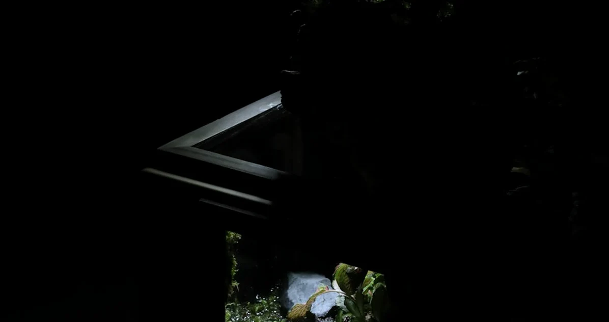 Buying a starter vivarium before choosing a species?