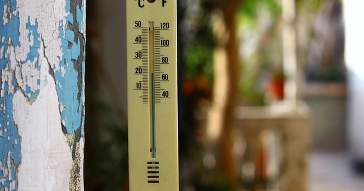 One thermometer won't reveal your vivarium's gradient